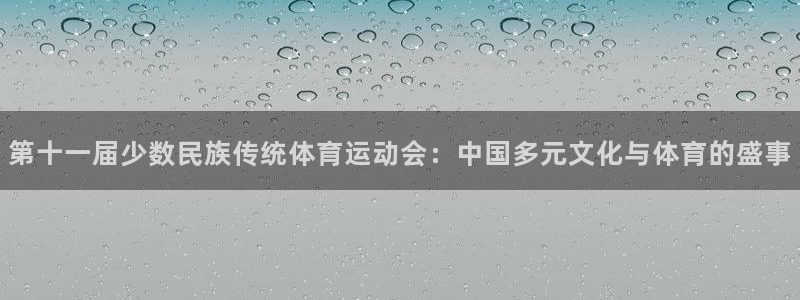 星速体育改名了吗：第十一届少数民族传统体育运动会：中国多元文化与体育的盛事