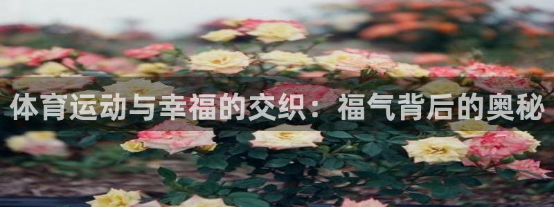 星速体育签约韩寒了吗：体育运动与幸福的交织：福气背后的奥秘