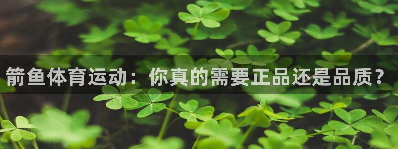 星速体育直播app下载安装最新版：箭鱼体育运动：你真的需要正品还是品质？