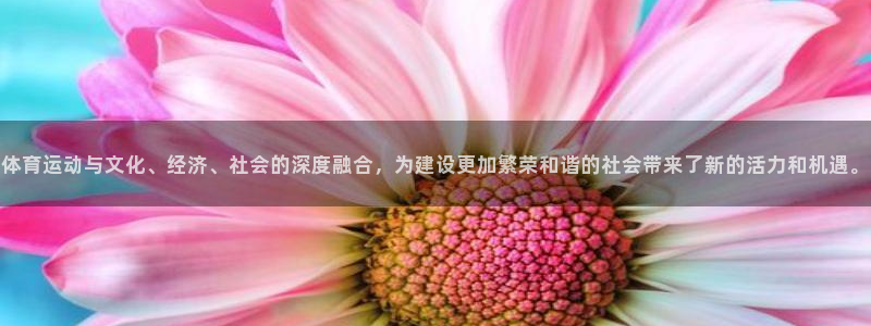 星速体育官网：体育运动与文化、经济、社会的深度融合，为建设更加繁荣和谐的社会带来了新的活力和机遇。
