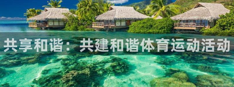 星速体育改名了吗：共享和谐：共建和谐体育运动活动