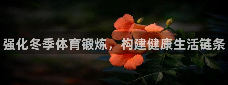 星速体育app下载安装：强化冬季体育锻炼，构建健康生活链条