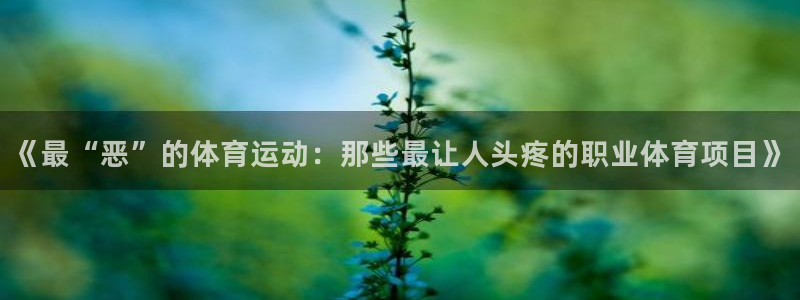 青岛星速体育文化有限公司：《最“恶”的体育运动：那些最让人头疼的职业体育项目》