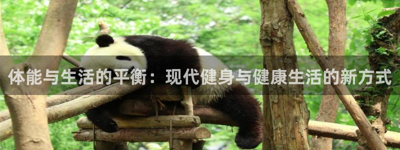 星速体育app下载：体能与生活的平衡：现代健身与健康生活的新方式